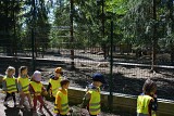 11.05.2023 - WYCIECZKA DO STAJNI MIEJSKIEJ MINI ZOO W ŻYWCU